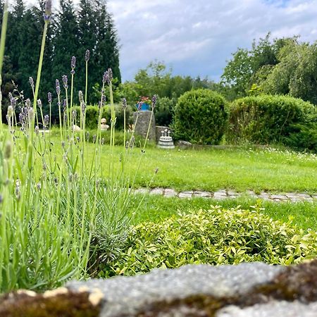 Apartman U Mluvicich Kamenu Stare Krecany Eksteriør billede